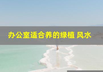 办公室适合养的绿植 风水